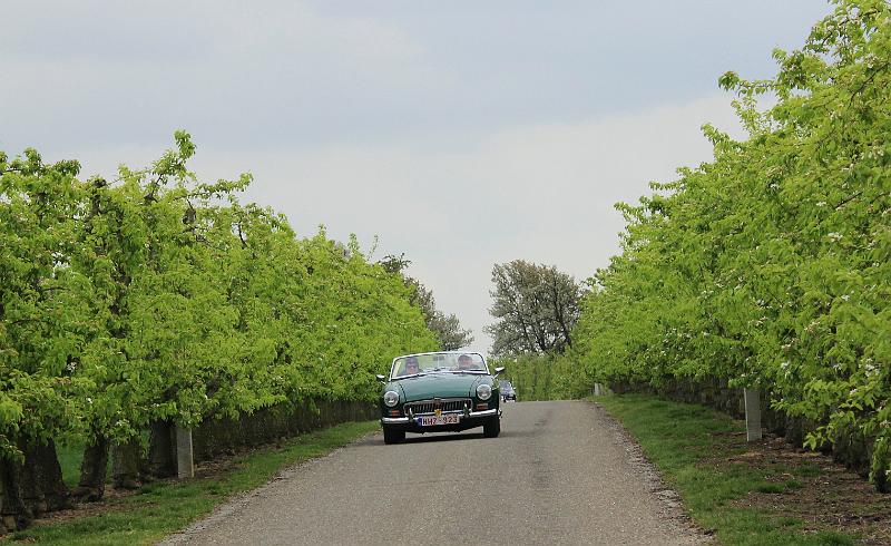 Follow the leader op 13-4-2014 org. Jos & Marie-lou (42).JPG